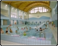 Kryta pływalnia Delfin Gliwice